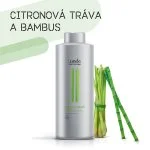 Shampooing pour un volume impressionnant 250 ml