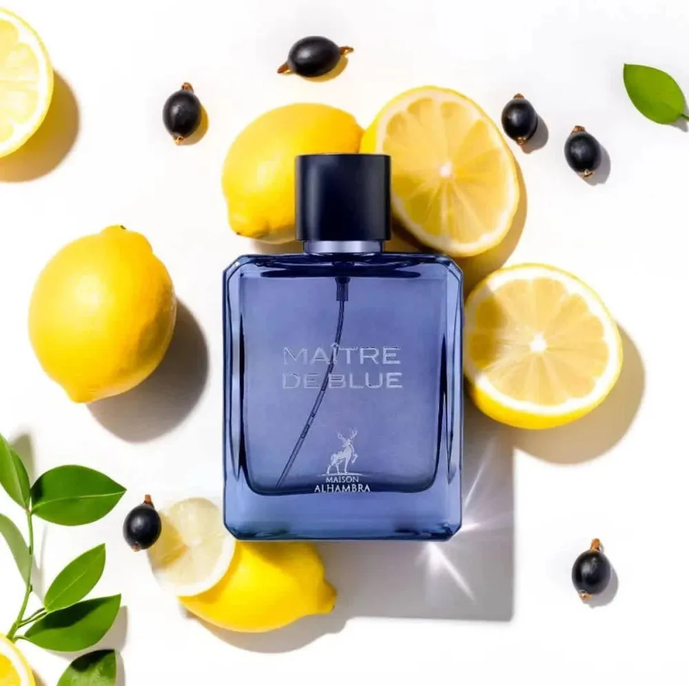 Maitre De Blue eau de parfum voor mannen 100 ml