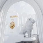 Rey U Eau de Parfum 100 ml