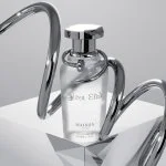 Silver Elixir eau de parfum unisexe 100 ml