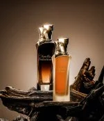 Vanilla Seduction Eau de Parfum pour femme 100 ml
