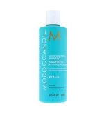 Shampooing Réparateur Hydratant - Shampooing Régénérant 250 ml