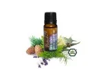Natasha Synergie d'huiles essentielles (10 ml) - Respiration libre - stimulant frais et printanier
