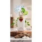 Noble Cedar extrait de parfum unisexe 100 ml