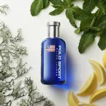 Polo Sport eau de toilette voor mannen 75 ml