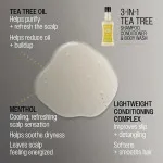 Shampooing-après-shampooing-gel douche 3-en-1 à l’arbre à thé pour hommes 350 ml
