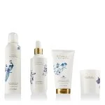 Amsterdam Collection Coffret cadeau grand format