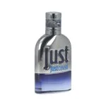 Just Cavalli Him 2013 eau de toilette pour homme 30 ml