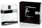 F by Ferragamo Black eau de toilette voor mannen 100 ml