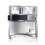 F by Ferragamo Black eau de toilette voor mannen 100 ml