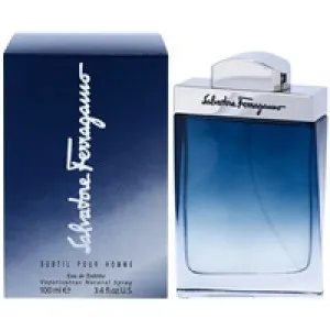 Salvatore Ferragamo Subtil Pour Homme eau de toilette pour hommes 100 ml