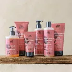 Urtekram Wilde roos shampoo 500ml BIO