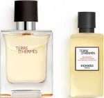 Terre D'Hermès eau de toilette voor heren 50 ml + SG 40 ml