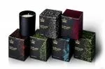 The Greatest Candle in the World The Greatest Candle Bougie parfumée en verre noir (170 g) - mojito
