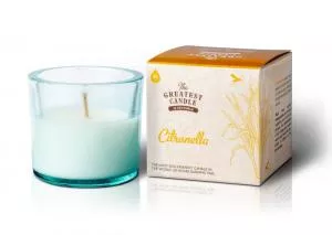The Greatest Candle in the World The Greatest Candle Bougie parfumée en verre (75 g) - citronnelle