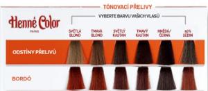 Henné Color Pansement teinté pour cheveux avec haute protection et soin Premium 100ml Bordeaux