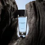 Touch for Men eau de toilette voor heren 100 ml