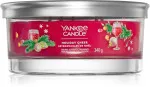 Holiday Cheer signature tumbler 5 knopen 340 g