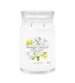 Midnight Jasmine signature kaars groot 567 g