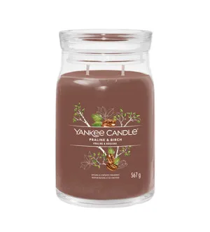 Yankee Candle Praline & Birch bougie signature grande 567 g