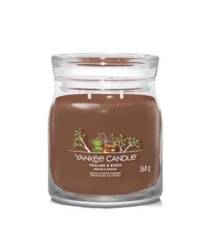 Yankee Candle Praline & Birch signature bougie moyenne 368 g