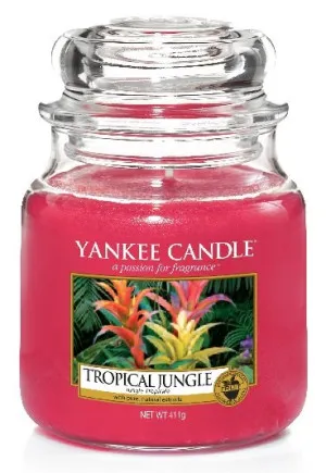 Bougie parfumée Yankee Candle Tropical Jungle 411 g