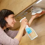 Tierra Verde Oranje ontvetter (spray 750 ml) - praktische allesreiniger