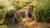 Comment la protection du sol dans votre jardin améliorera votre récolte