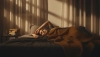 # Comment arrêter de penser la nuit et dormir paisiblement