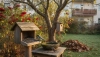 Vous savez comment soutenir les oiseaux dans le jardin et sur le balcon