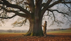 Ce qu'un seul arbre nous apprend sur le rythme de la nature et de la vie
