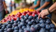 Le meilleur compote de prunes de grand-mère que vous allez adorer