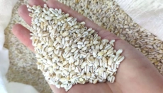 Apprenez à cuisiner facilement des grains étape par étape